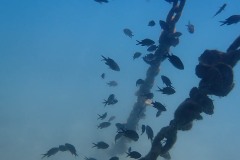 P6150013