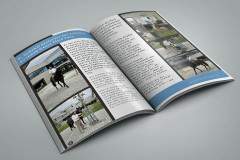 Mag_News_B1