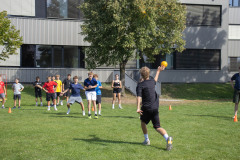 bild_49