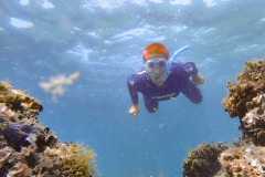 bild_15