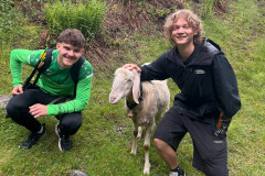 bild_11