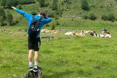 bild_14